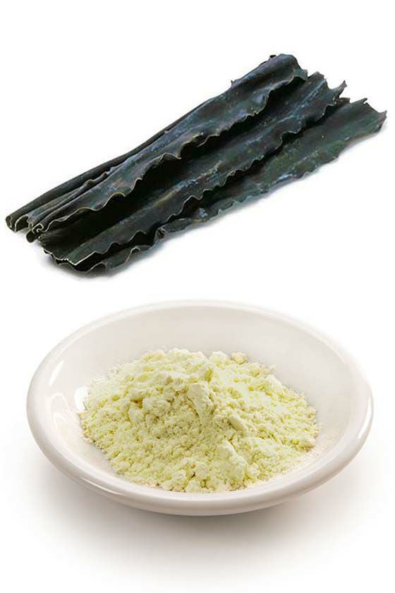 000000000099.jpg?t=20220602181337